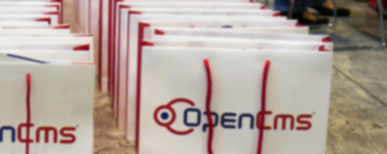 Several OpenCms bags standing in a row